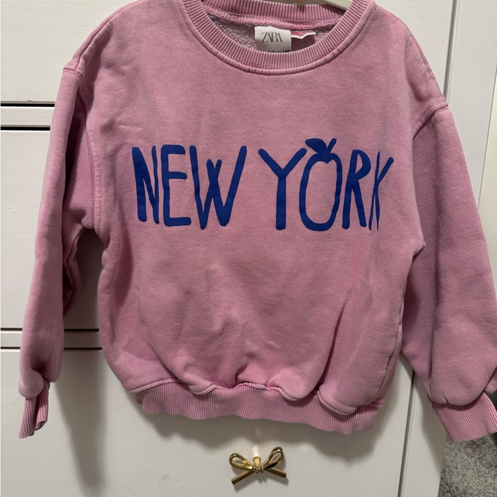 Zara Pink Sweatshirt with Blue Graphic
